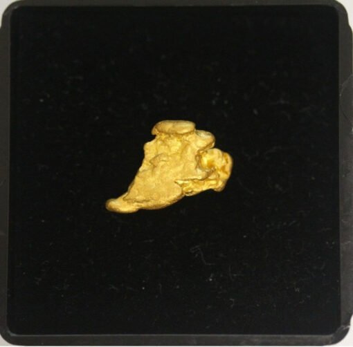 natural western australian gold nugget 283g