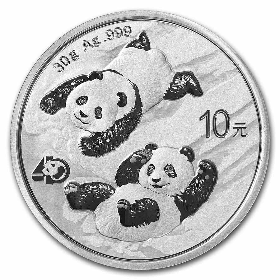 2022 Chinese Silver Panda 30g .999 Silver Bullion Coin