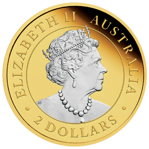 2022 australian kangaroo 2oz 9999 silver reverse gilded coin