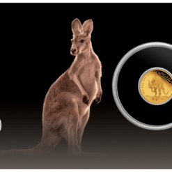2022 Mini Roo 0.5g .9999 Gold Proof Coin in Card