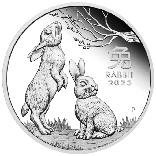 2023 year of the rabbit 1oz 9999 silver proof coin lunar series iii