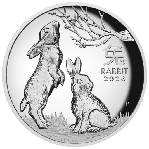 2023 year of the rabbit 1oz silver proof high relief coin lunar series iii