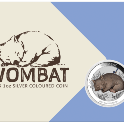 2023 Australian Wombat 1oz Silver Coloured Coin in Card